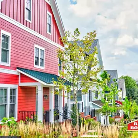 Bild von Rapid Roofing