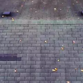 Bild von Rapid Roofing