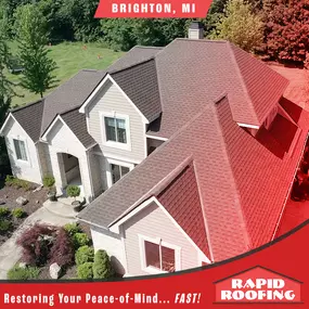Bild von Rapid Roofing