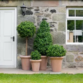 Bild von Artificial Plants & Trees Co (UK)