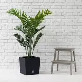 Bild von Artificial Plants & Trees Co (UK)