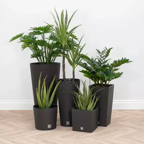 Bild von Artificial Plants & Trees Co (UK)