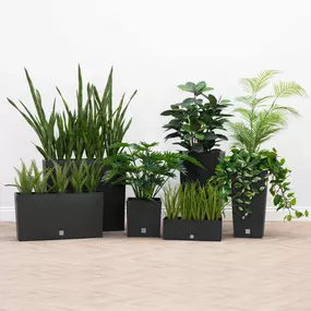Bild von Artificial Plants & Trees Co (UK)