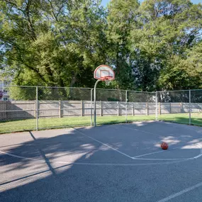 Basketball Court