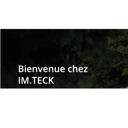 Logo da IM.TECK