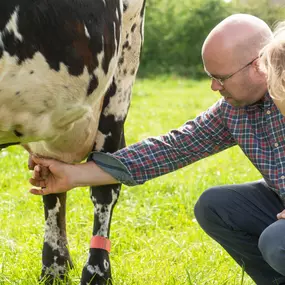 Bild von Le Gîte De La Ferme Du Tertre