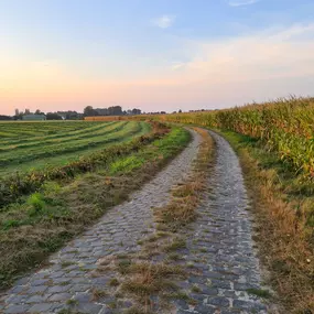 Bild von Le Gîte De La Ferme Du Tertre