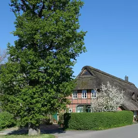 Bild von Auf dem Deich - Ferienwohnungen im Bremer Blockland