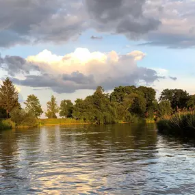 Bild von Auf dem Deich - Ferienwohnungen im Bremer Blockland