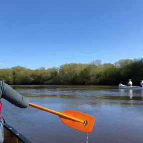 Bild von Auf dem Deich - Ferienwohnungen im Bremer Blockland