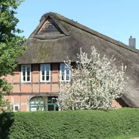 Bild von Auf dem Deich - Ferienwohnungen im Bremer Blockland