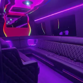 Las Vegas Party Bus Luxury 12 Passenger Sprinter with state of the art sound and lighting.