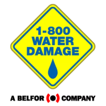 Logo od 1-800 WATER DAMAGE of Tempe/West Chandler