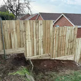 Bild von Evans Tree Care