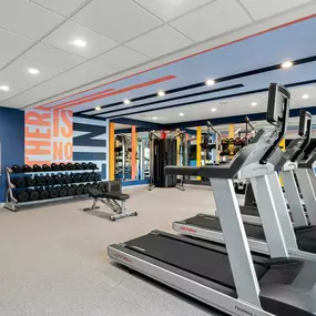 Health club  fitness center  gym