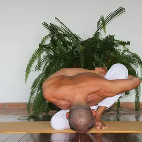 Bild von Shiva Yoga Temple