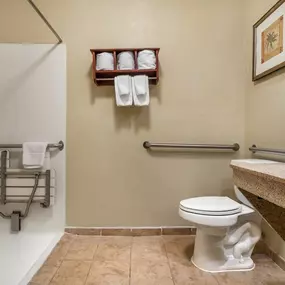 Roll-In Shower