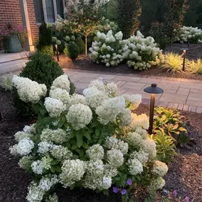 Bild von J Squared Landscape Design & Build
