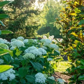 Bild von J Squared Landscape Design & Build