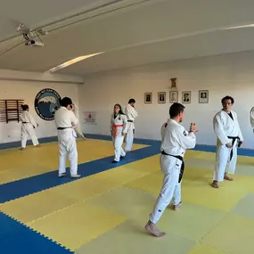 Bild von Shodan Dojo