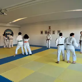 Bild von Shodan Dojo