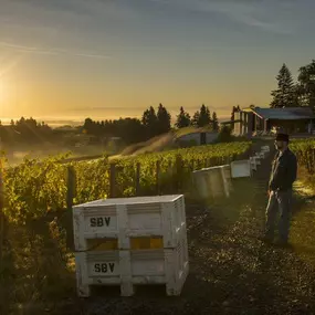 Bild von Sokol Blosser Winery