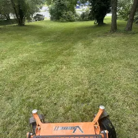 Bild von TNE Lawn & Trimming LLC