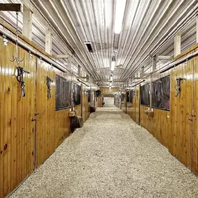 Bild von Spark Equestrian Academy