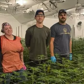 A group of seven employees from Get Seeds Right Here standing inside the company’s clone grow operation. They are surrounded by rows of young cannabis plants under bright grow lights.