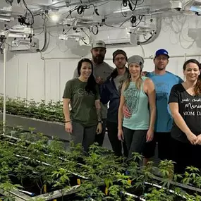 Four Get Seeds Right Here employees standing together inside the company’s clone grow operation. They are posing next to rows of cannabis plants under bright grow lights.