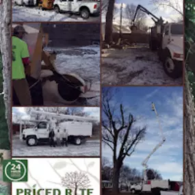 Bild von Priced Rite Tree Service