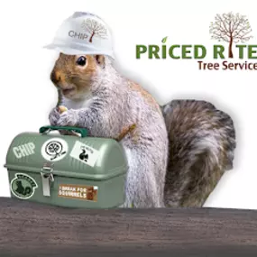 Bild von Priced Rite Tree Service