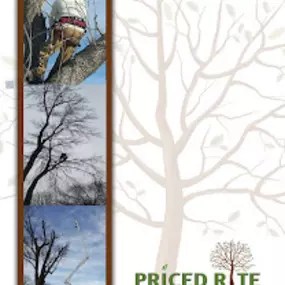 Bild von Priced Rite Tree Service