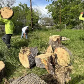 Bild von Central Texas Arbor Care