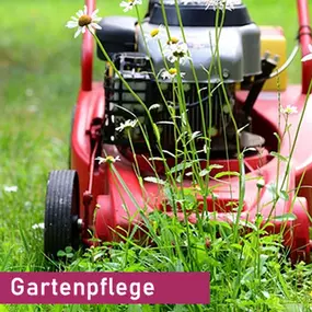 Bild von Vibatech-Dienstleistungen