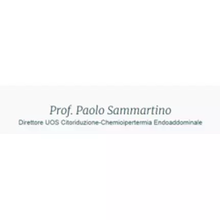 Logo da Prof. Paolo Sammartino