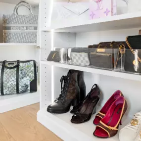 Lighted shoe shelves and adjustable.