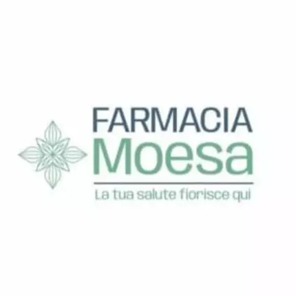 Logo from Farmacia Moesa Sagl