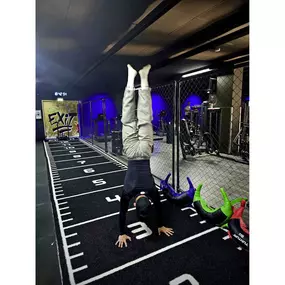 Bild von Taifun Fitness