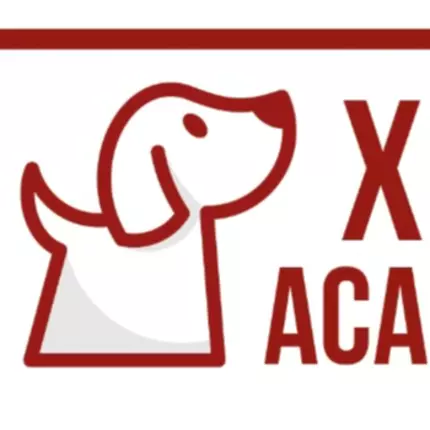 Logo de Xena academy