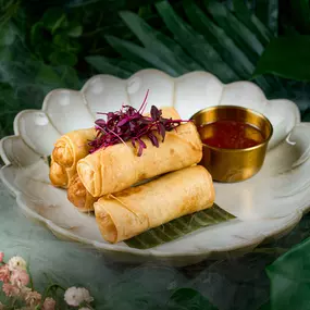 Spring Rolls