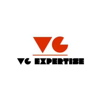 Logo da VG Expertise