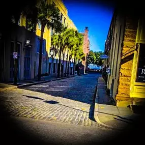 Bild von The Palmetto Bullrush Rose Historical City Tours Of Charleston The Holy City