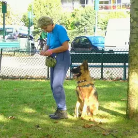 Bild von CANI CLASS Education Canine et Comportement