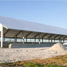 Exterior view of a long Pilot Buildings straight-wall, open-sided cattle finishing building with a fabric gable roof.