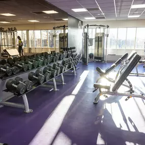 Bild von Concord Sports Centre