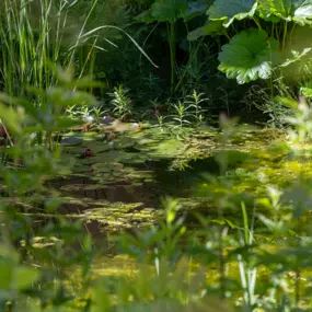 Bild von Beyeler Guido, Gartenpflege GmbH