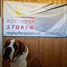 Bild von Roy Hofer Storen GmbH