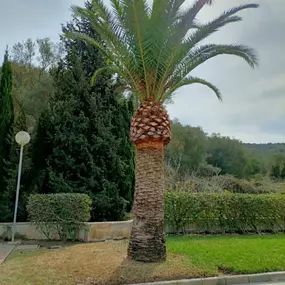 Bild von Parking PARKIA - La Carihuela Playa. Torremolinos. Málaga