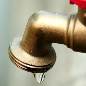 Bild von Grapple Plumbing